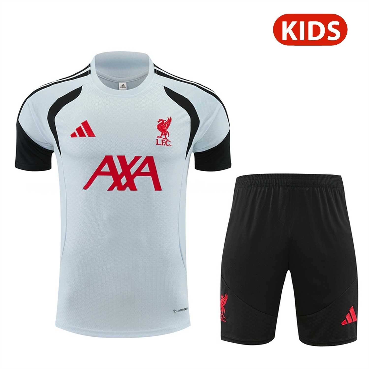 Liver.pool 26-27 Kids Short-Sleeve Training Set - Light Grey Top & Black Shorts - ManixJersey
