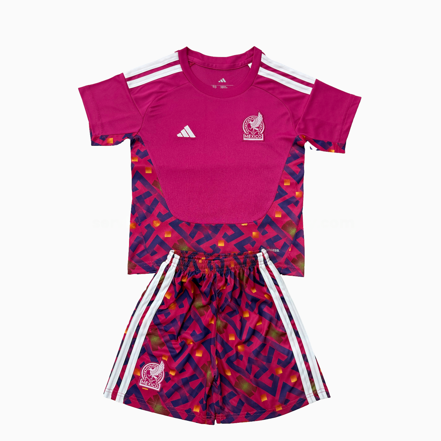 Mexico 2026 Goalkeeper Pink Men
