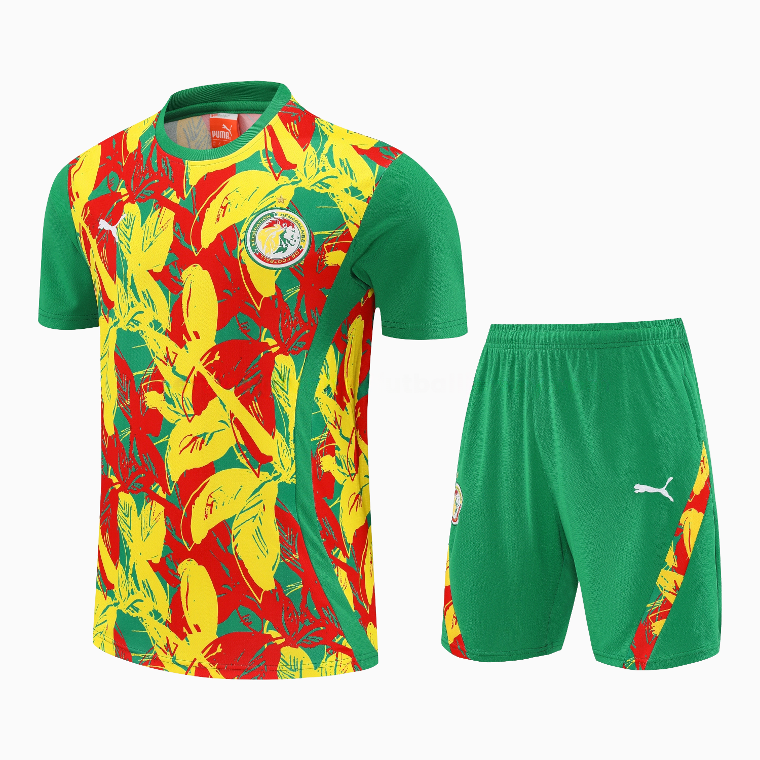 Senegal 2026 Short-Sleeve Training Set - Variegated Top and Green Shorts - ManixJersey