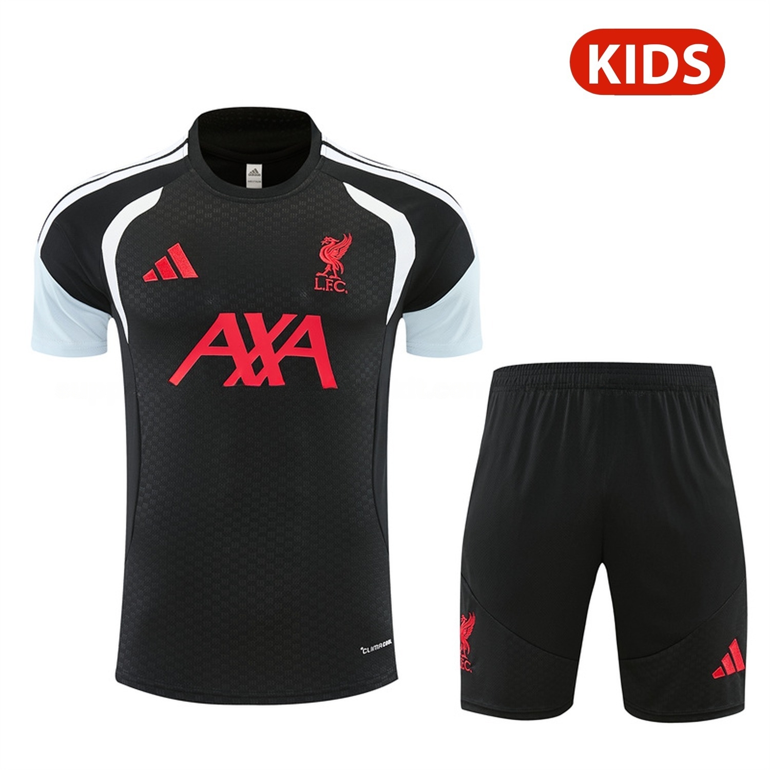 Liver.pool 26-27 Kids Short-Sleeve Training Set - Black Top & Black Shorts - ManixJersey