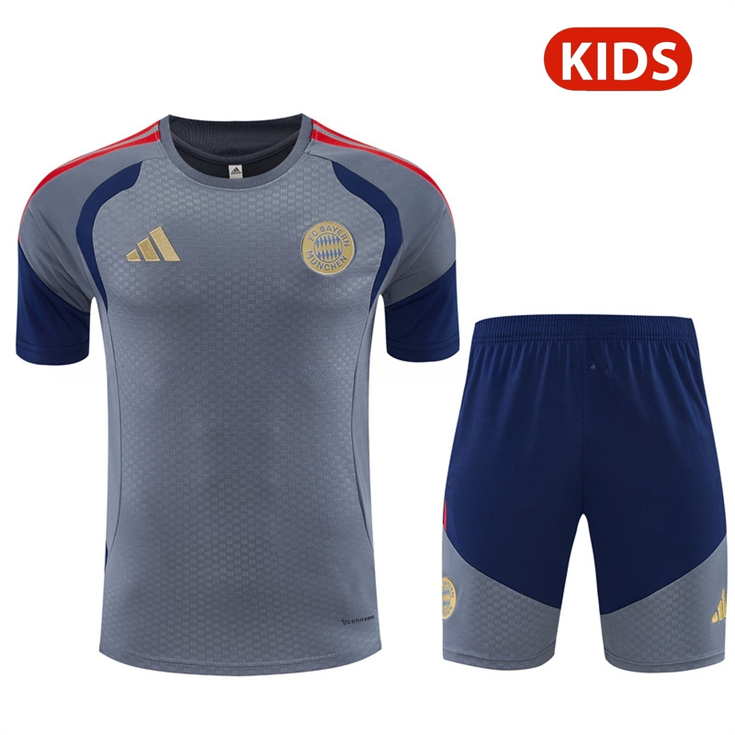 Bayern Munich 26-27 Kids Short-Sleeve Training Set - Grey Top & Deep Blue Shorts - ManixJersey