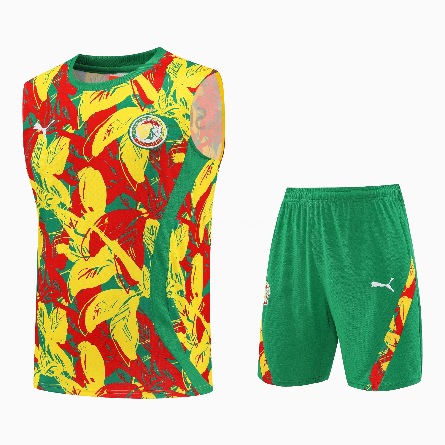 Senegal 2026 Vest Training Set - Variegated Vest and Green Shorts - ManixJersey