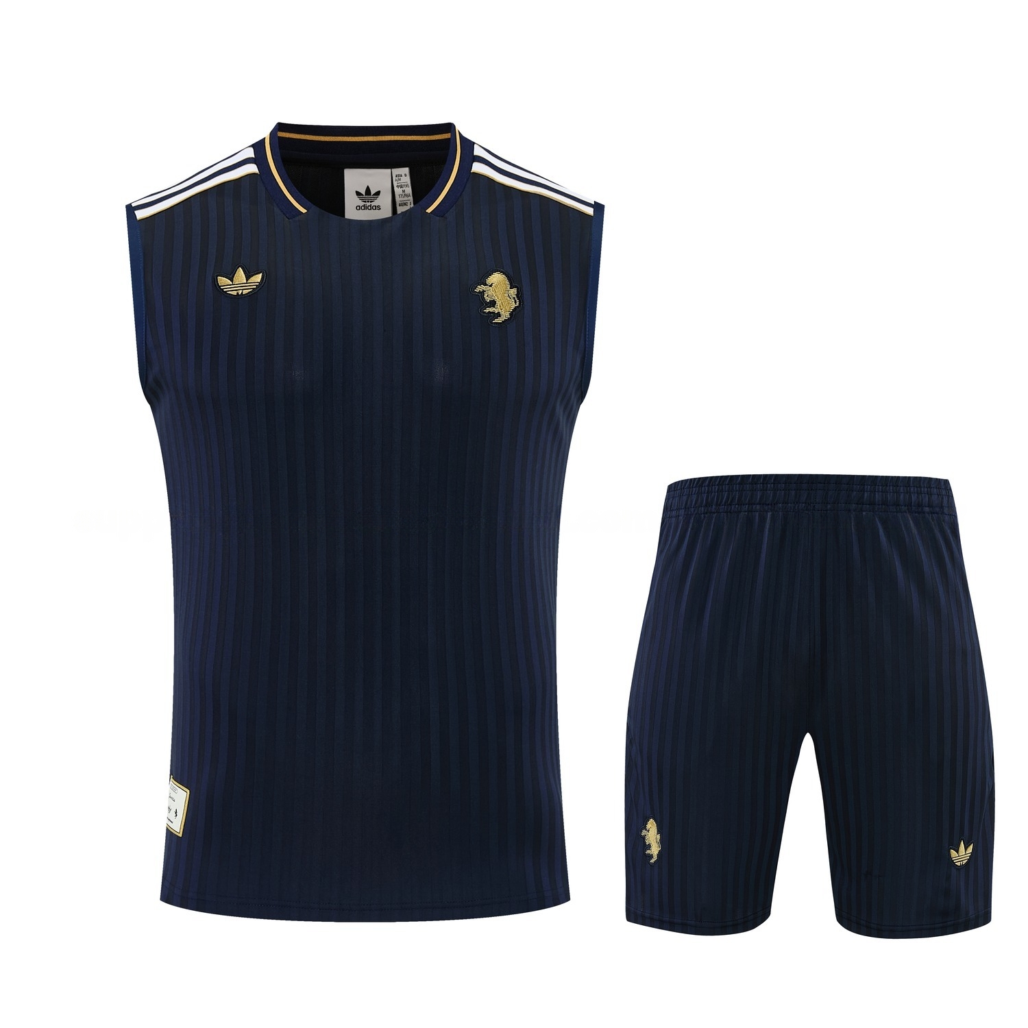 Juventus 25-26 Vest Training Set - Navy Blue Vest and Shorts - ManixJersey