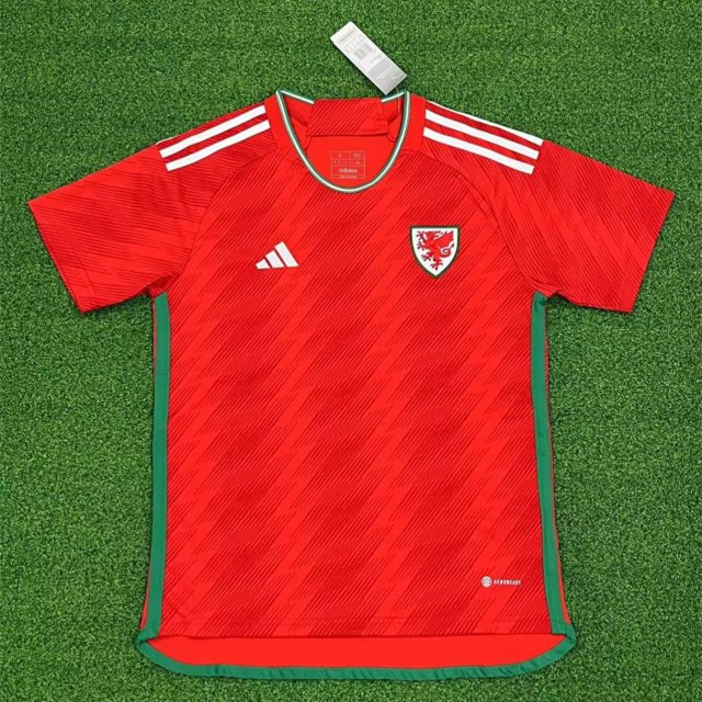 Wales 22-23 Home Stadium Jersey - Fans Version - ManixJersey