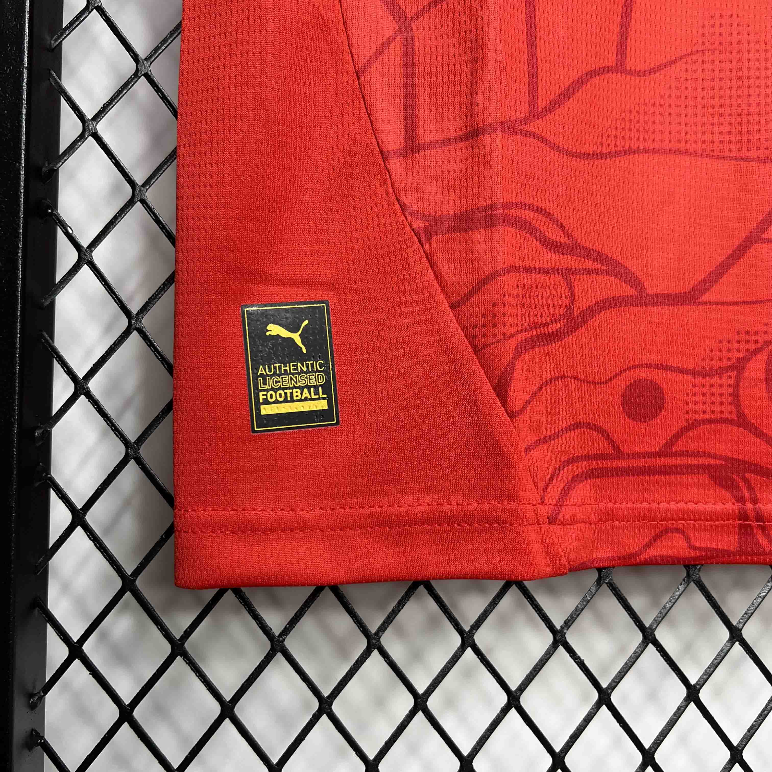 Austria 2024 Home Stadium Jersey - Fans Version - ManixJersey