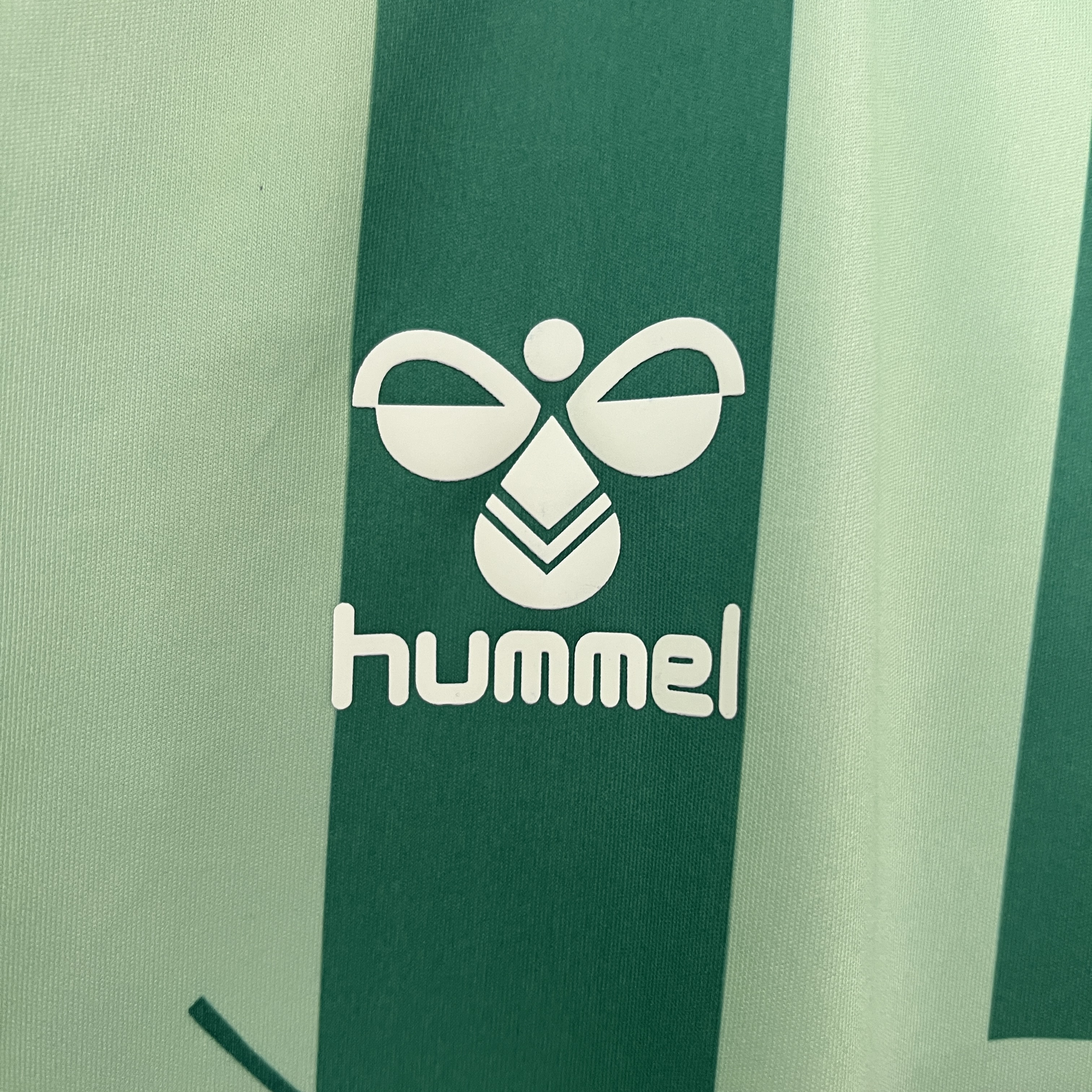 Real Betis 24-25 Special Edition Jersey - Fans Version - ManixJersey