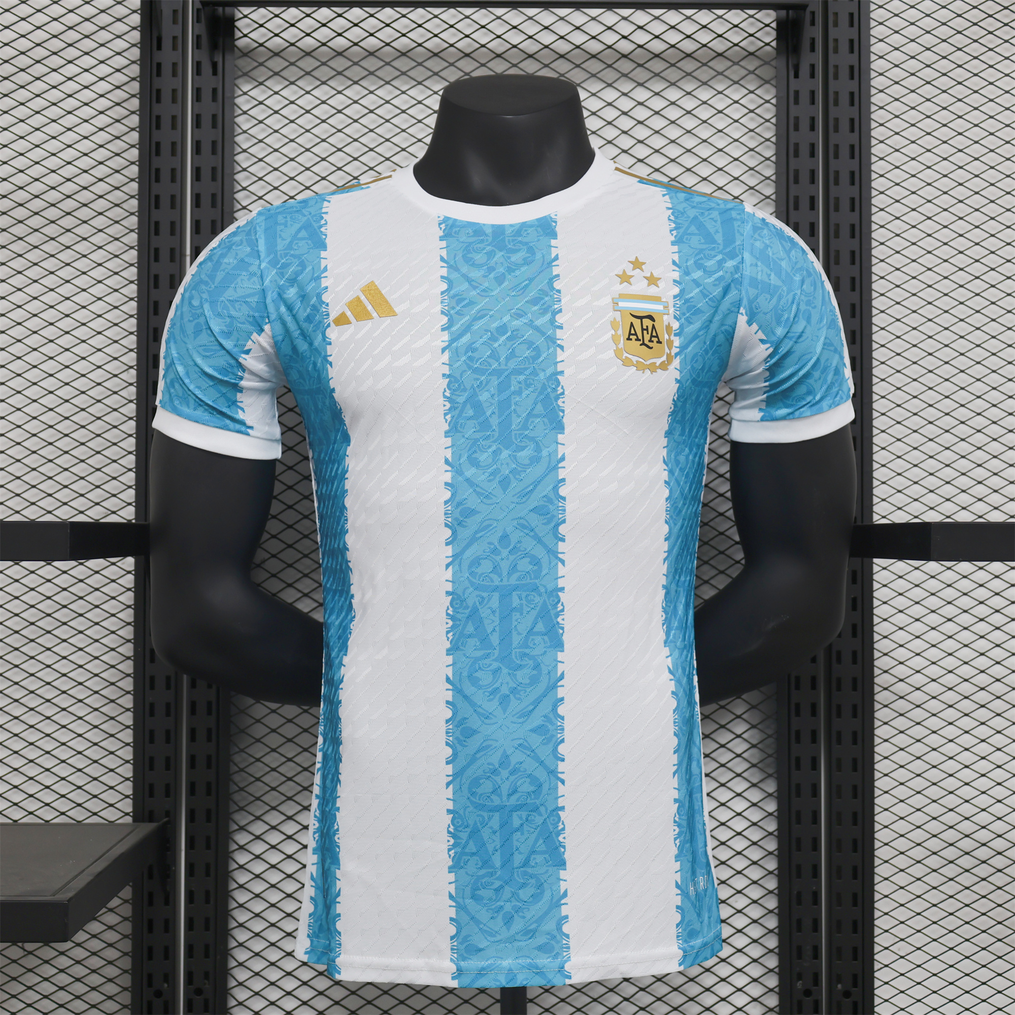 Argentina 2024 Blue and White Stripes Special Edition Jersey - Player Version - ManixJersey