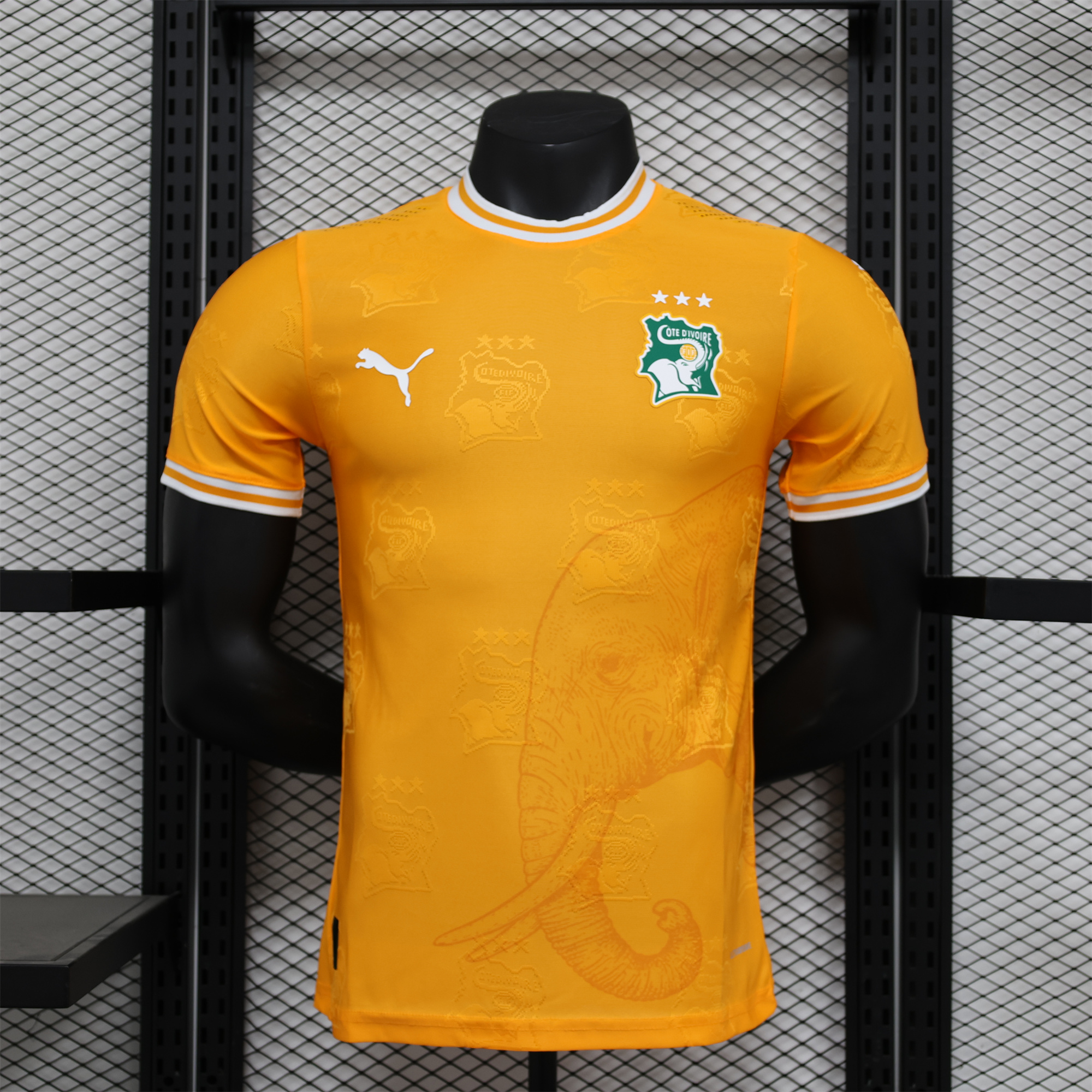 Ivory Coast 2024 Orange Elephant Special Edition Jersey - Player Version - ManixJersey