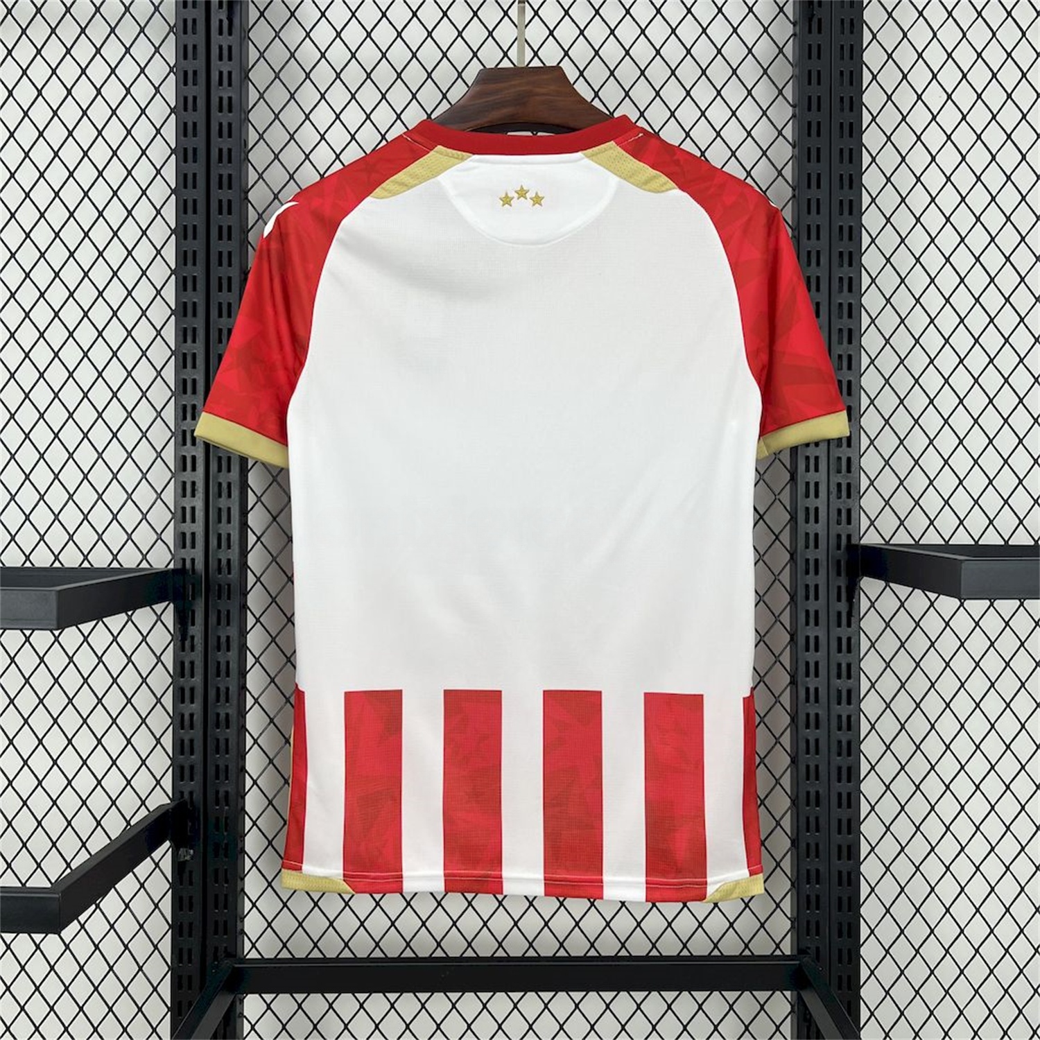 Red Star Belgrade 24-25 Home Jersey - Fans Version - ManixJersey