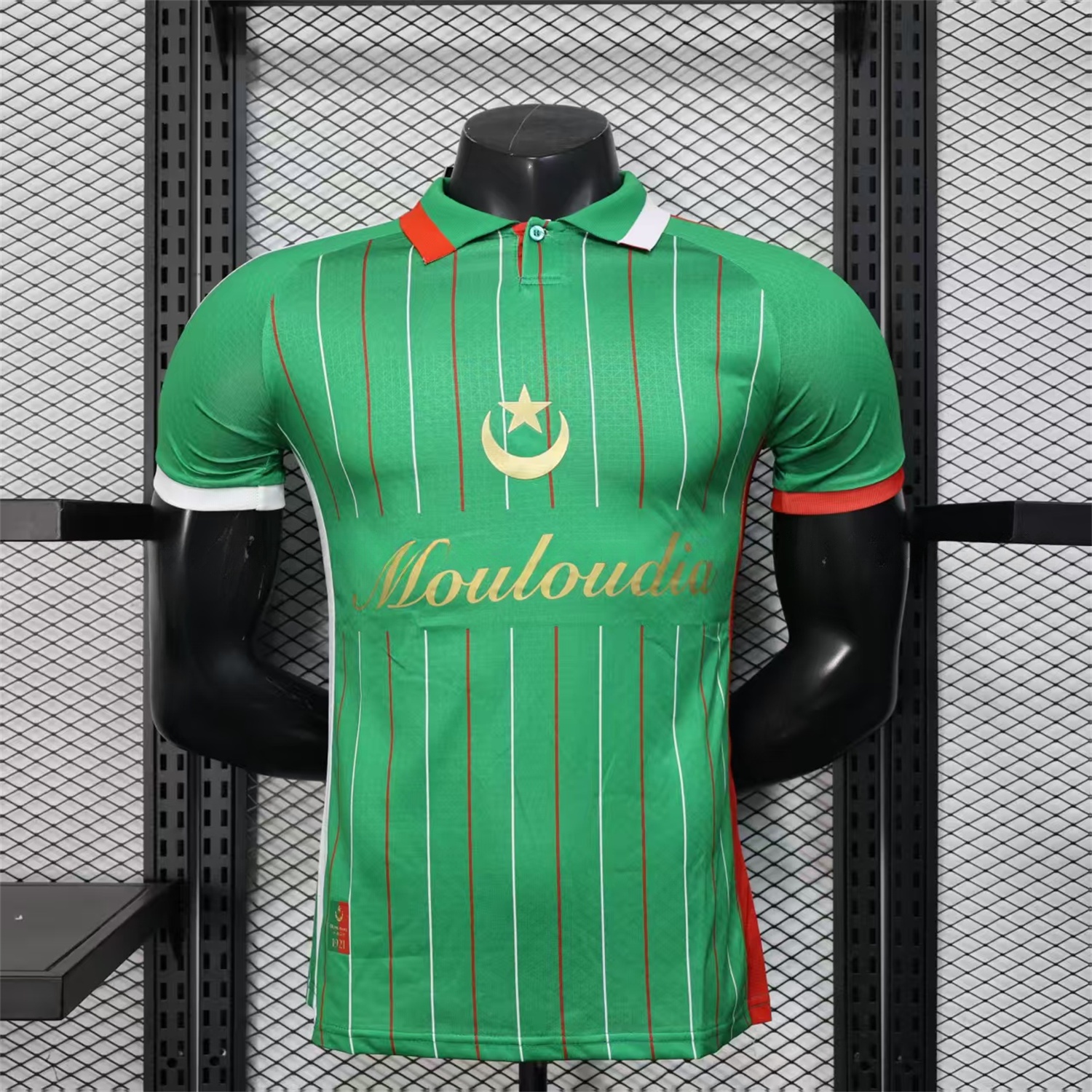 Club Deportivo Palestino Palestine 25-26 Green Special Jersey - Player Version - ManixJersey