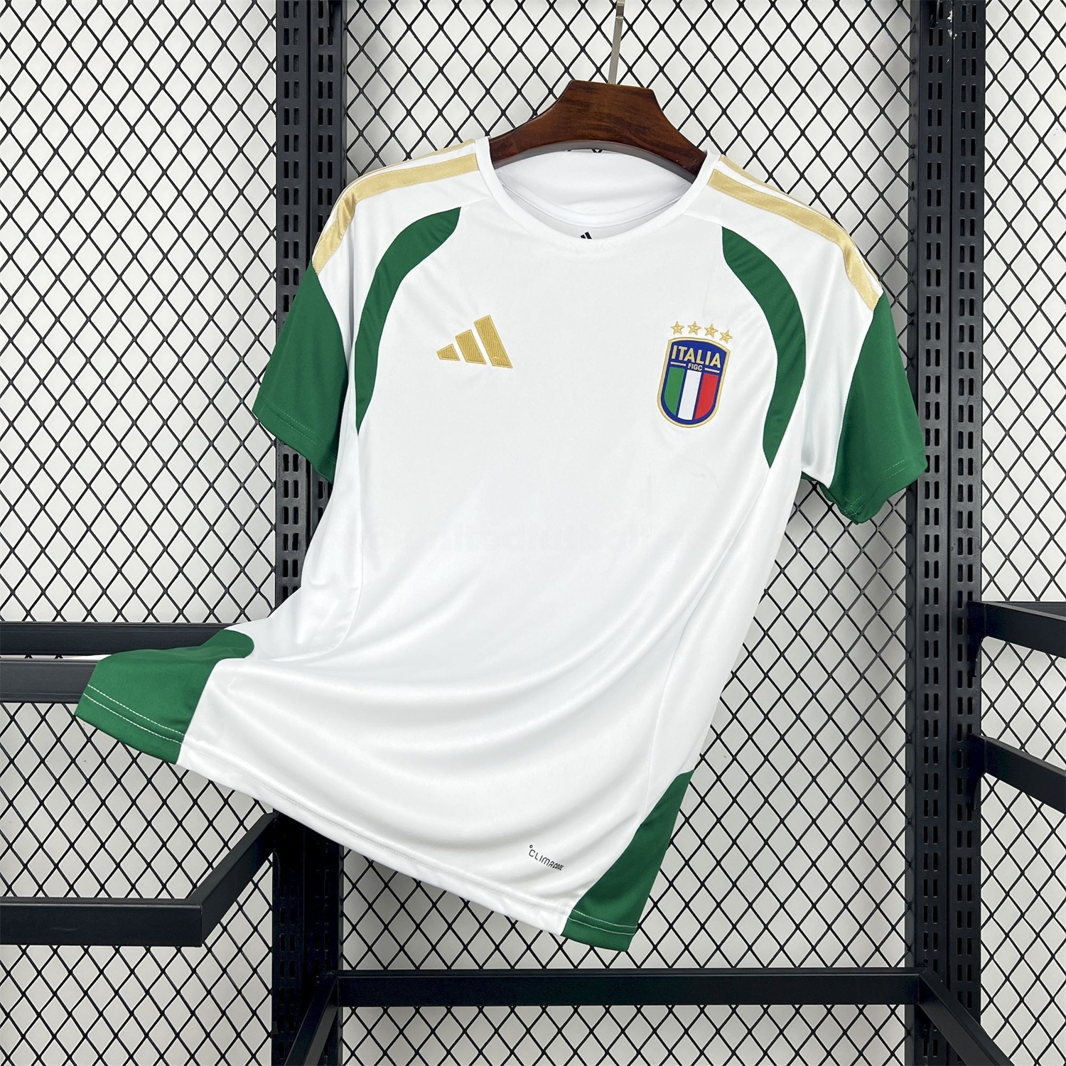 Italy 2026 White Tiro Pre-Match Jersey - ManixJersey