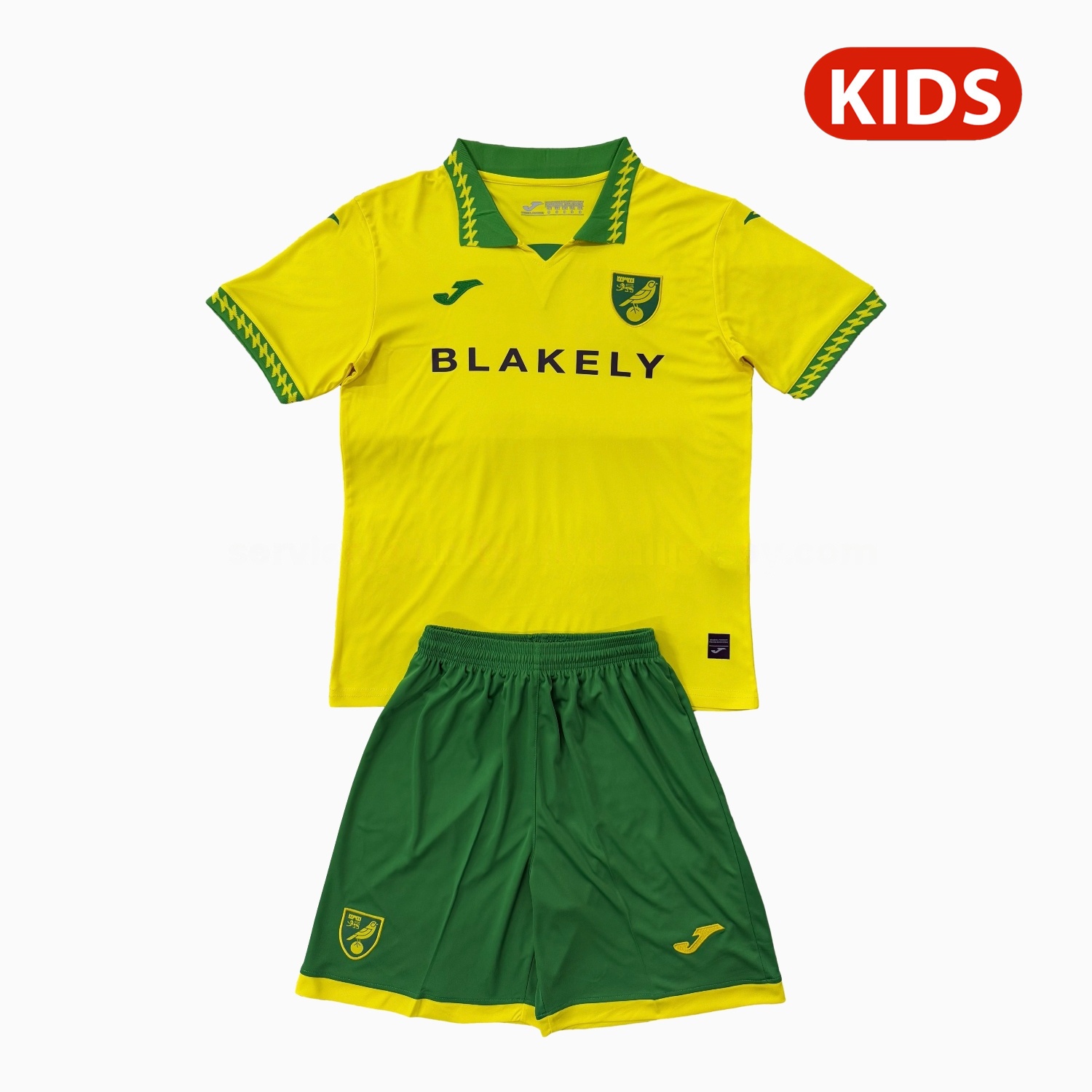 Norwich City 25-26 Home Kids Kit - ManixJersey