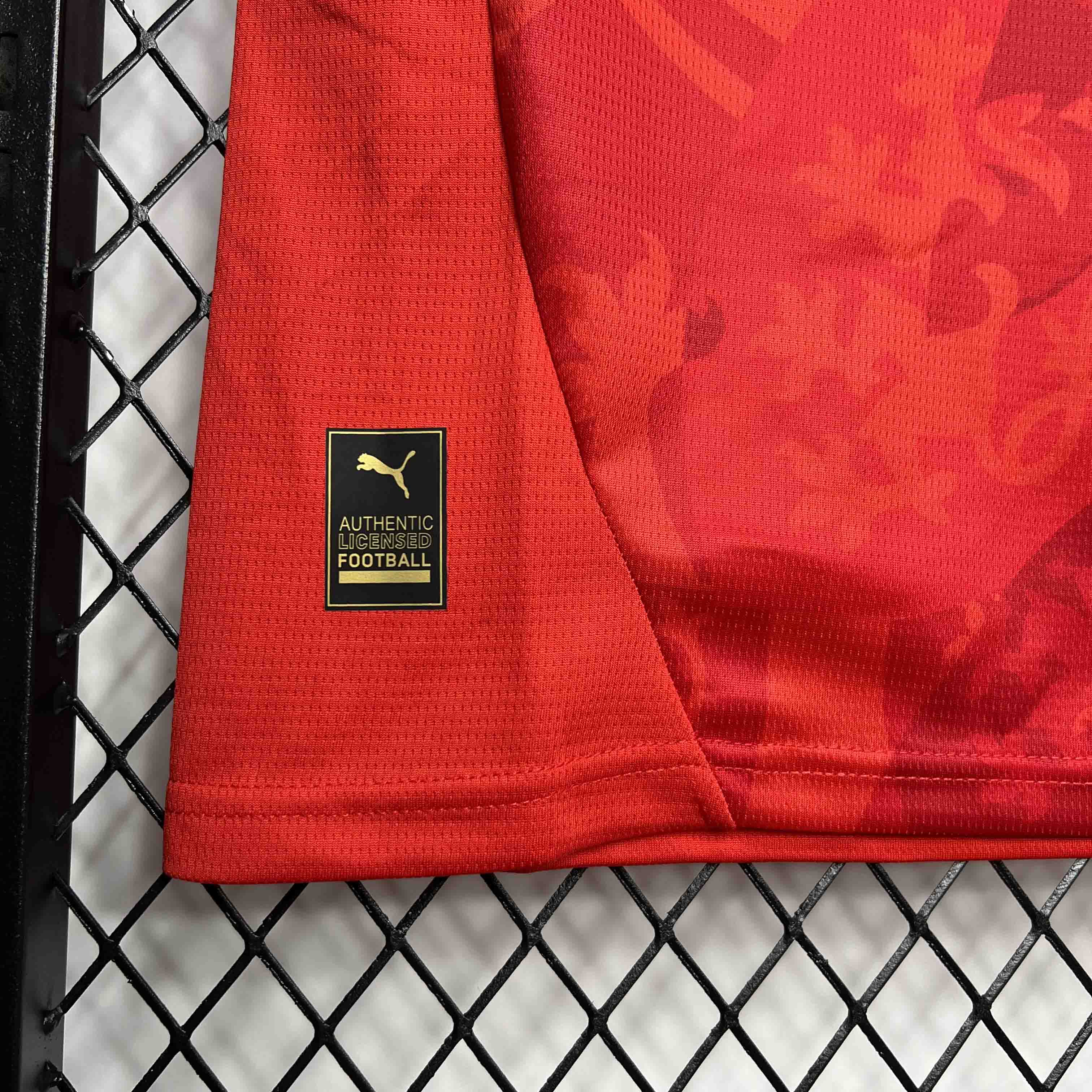 Czech Republic 2024 Home Stadium Jersey - Fans Version - ManixJersey