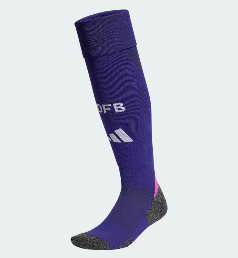 Germany 2024 Away Socks - Purple - ManixJersey