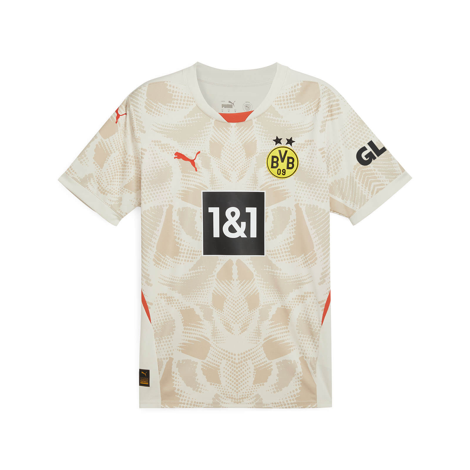 Dortmund 24-25 Goalkeeper Grey Jersey - Fans Version - ManixJersey