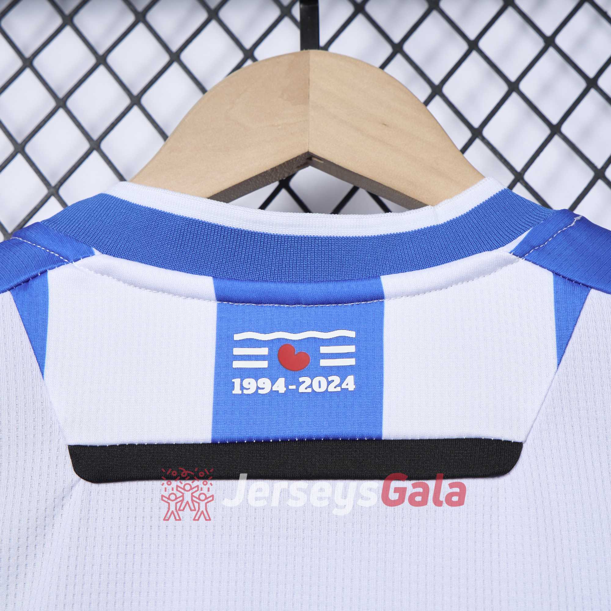 SC Heerenveen 24-25 Home Jersey - Fans Version - ManixJersey