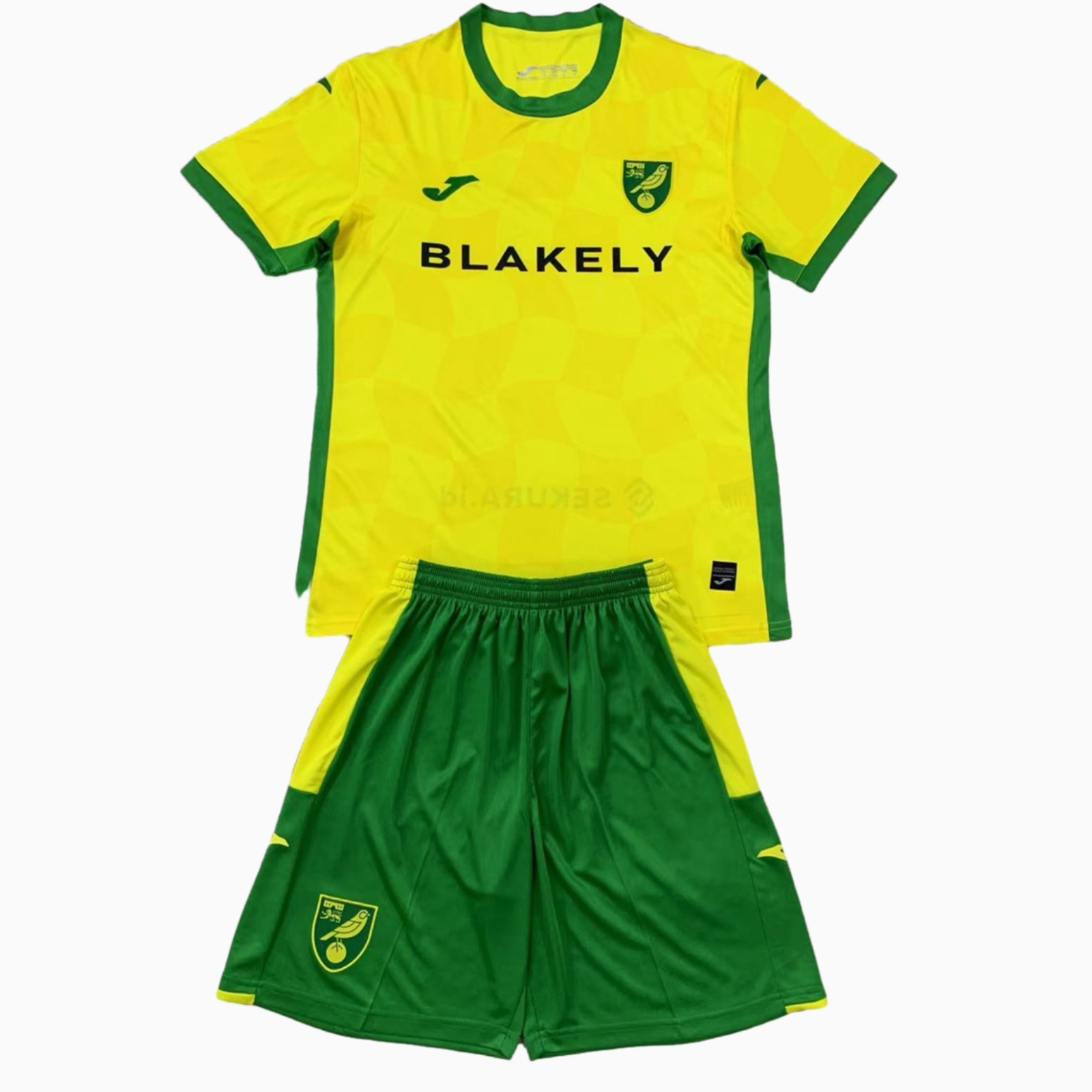 Norwich City 24-25 Home Kids Kit - ManixJersey