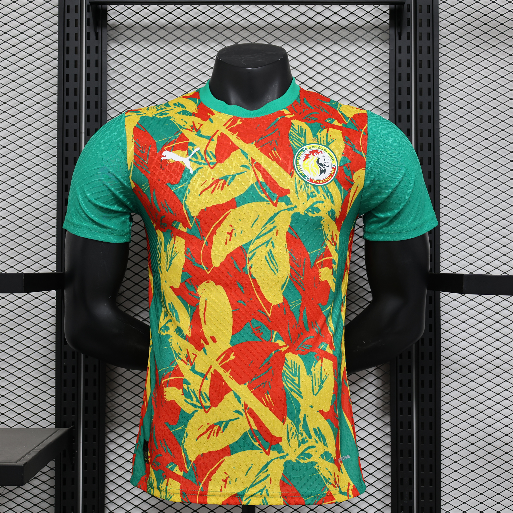 Senegal 24-25 Pre-Match Jersey - Player Version - ManixJersey