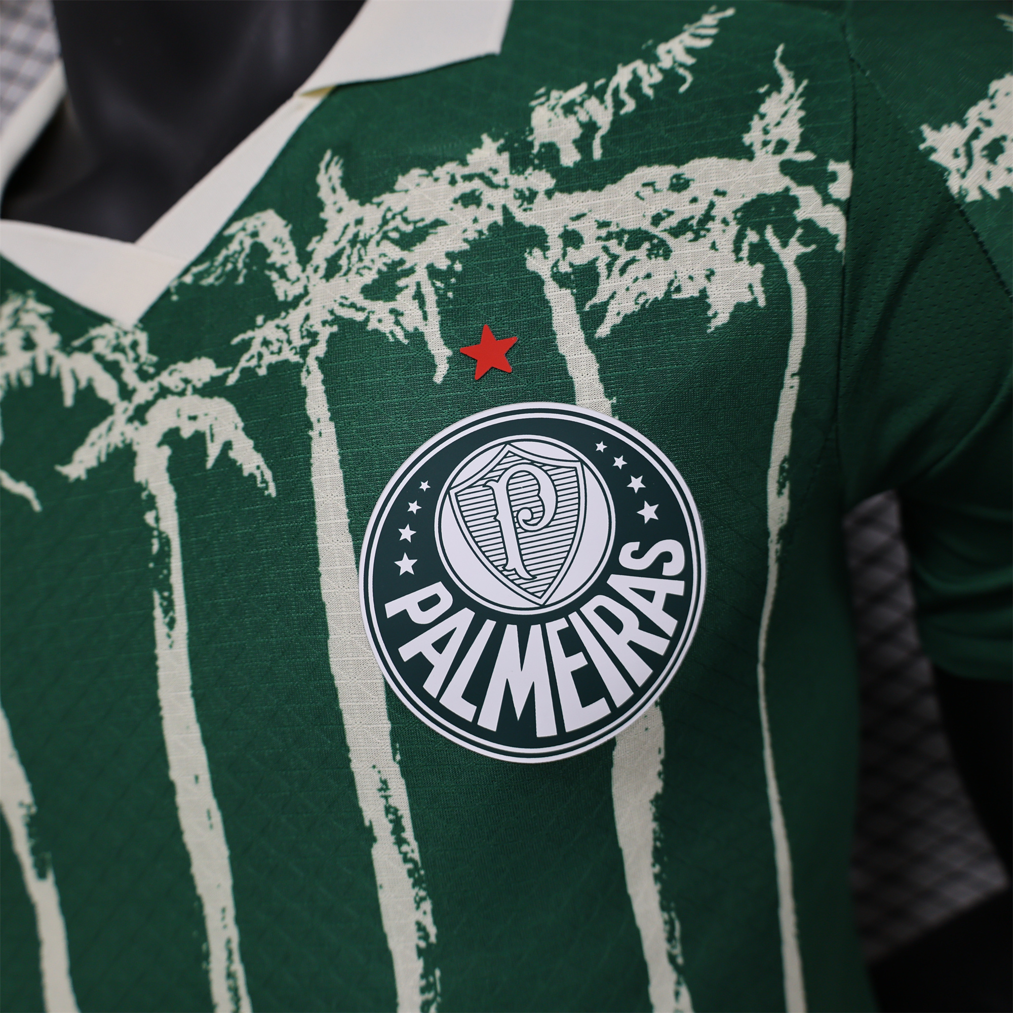 Palmeiras 2025 Home (Informal-release Version) Jersey - Player Version - ManixJersey