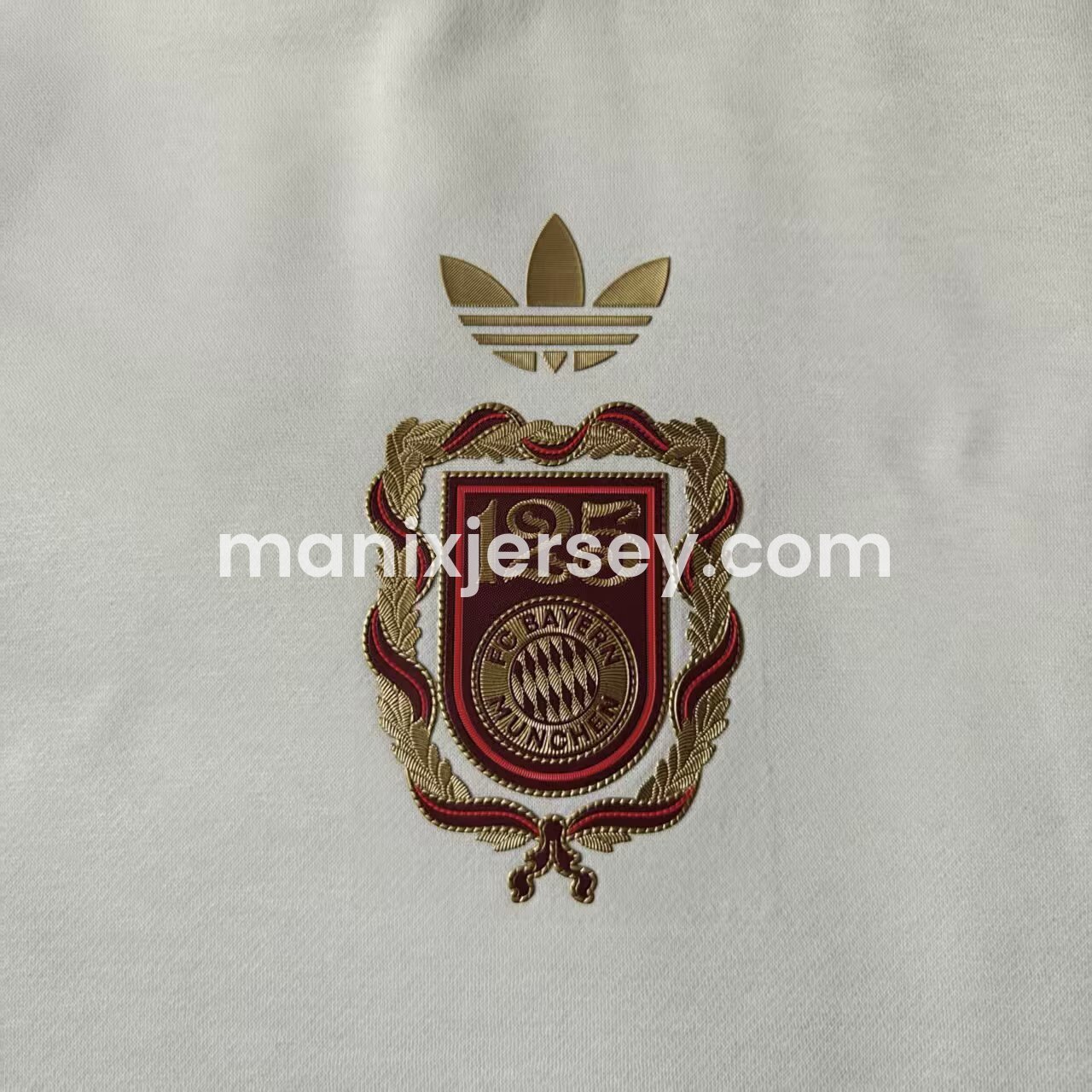 Bayern Munich 2025 125th Anniversary Unisex Pullover Hoodie - ManixJersey