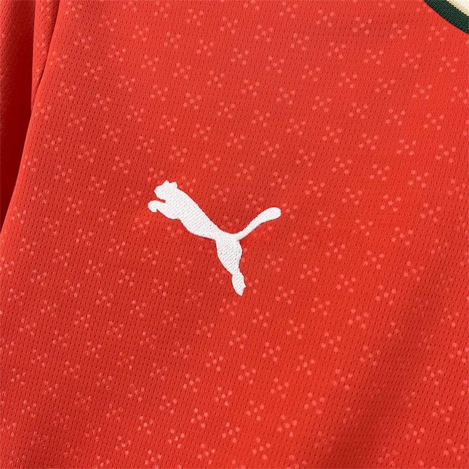 Portugal 2025-26 Home Long Sleeve Jersey - Fans Version - ManixJersey