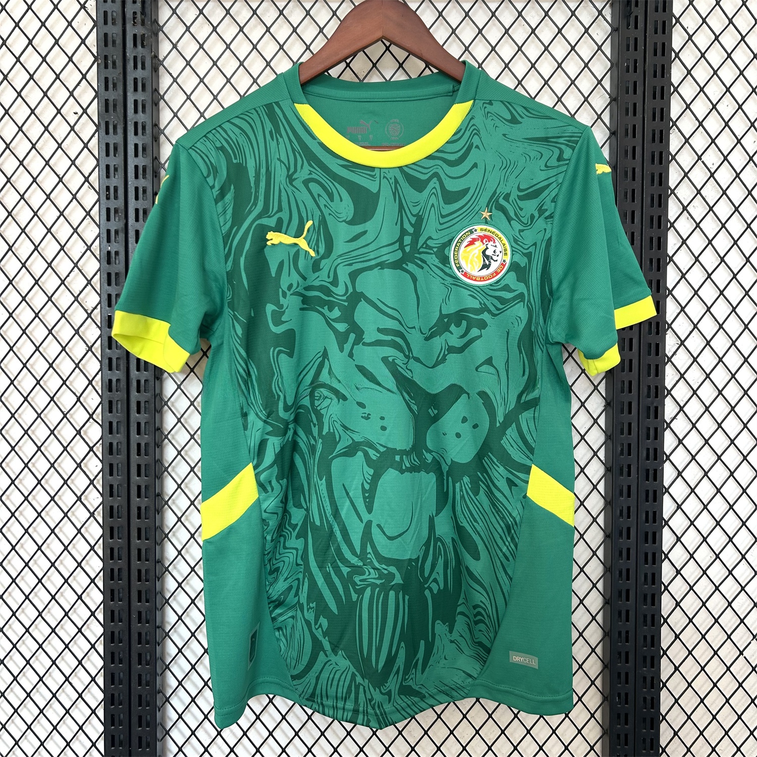 Senegal 25-26 Away Green Jersey - Fans Version - ManixJersey