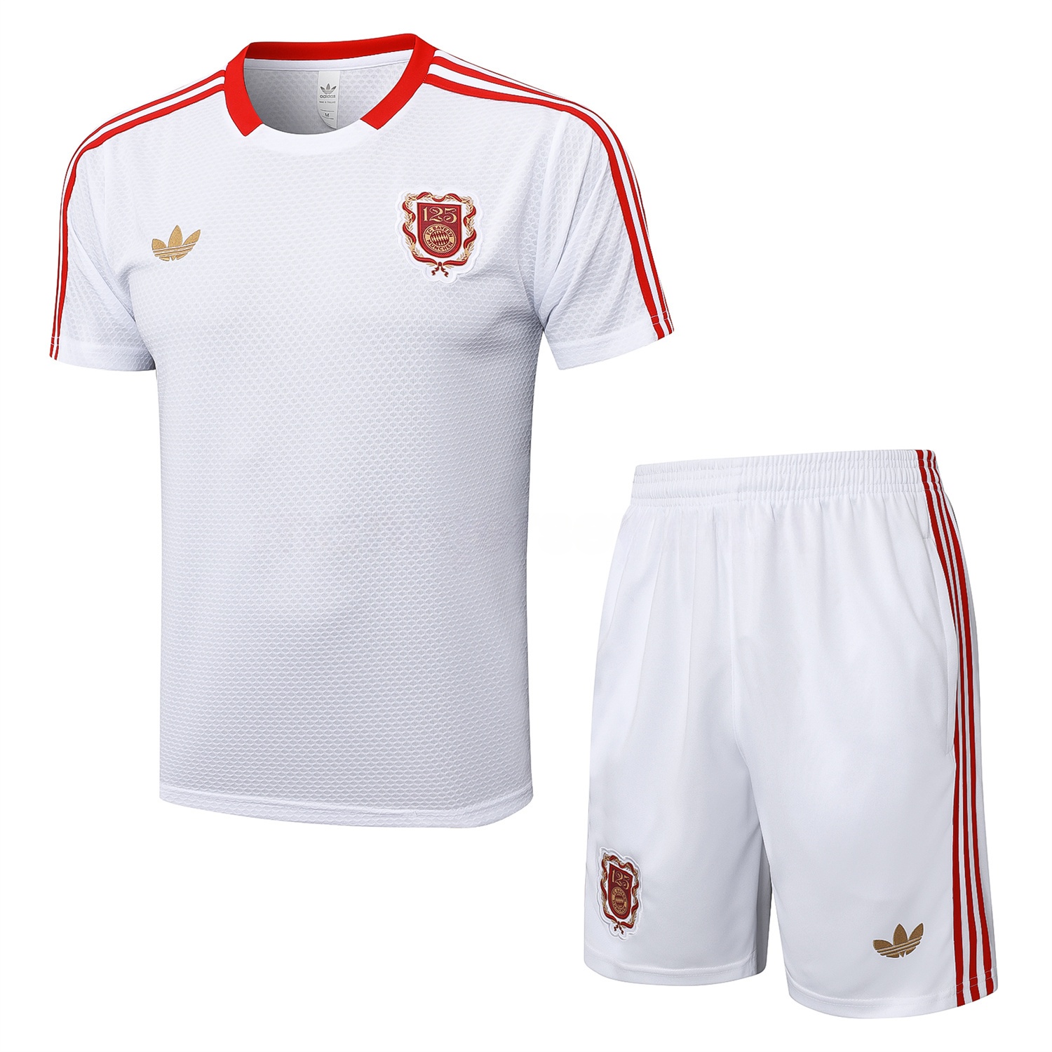 Bayern Munich 2025 125th Anniversary Short-Sleeve Training Set - White Top and Shorts - ManixJersey