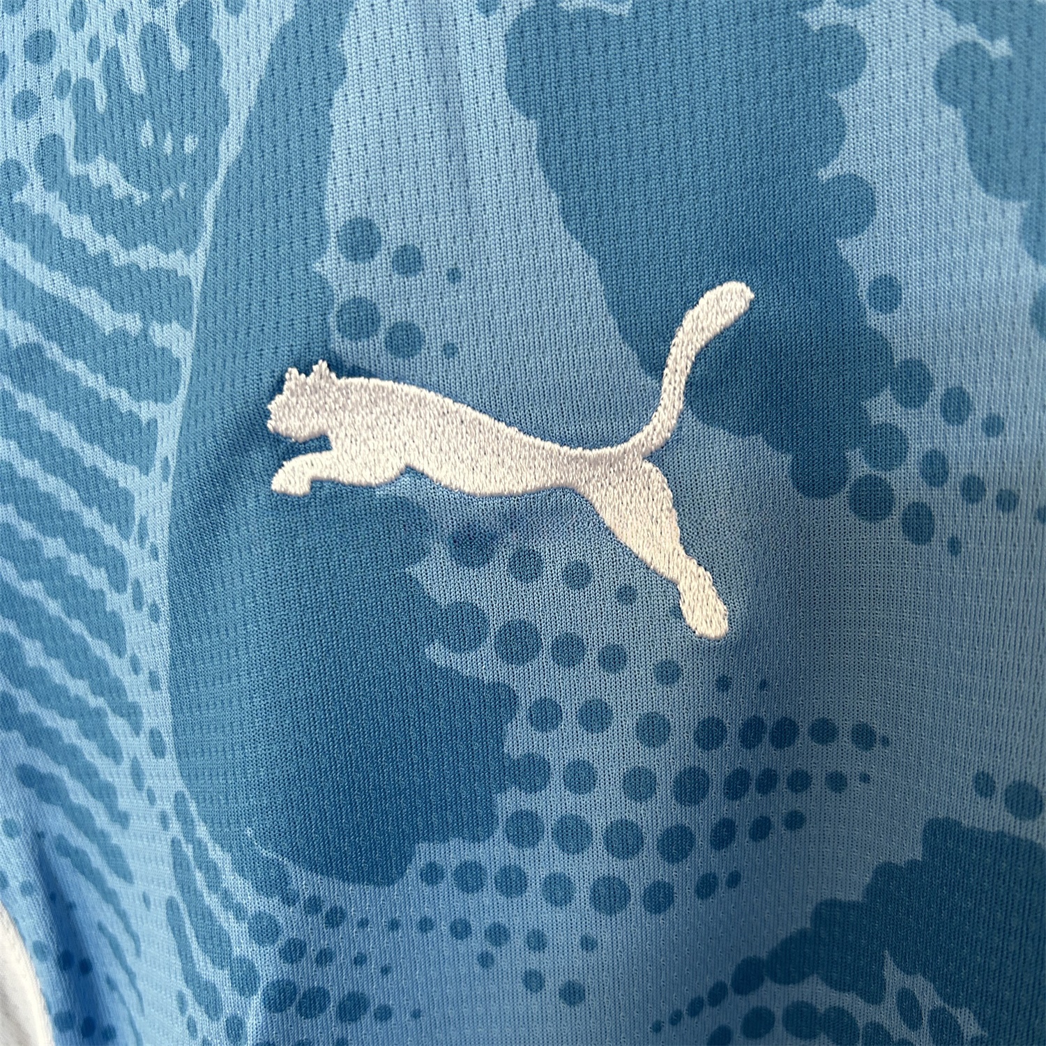 Palmeiras 25-26 Blue Goalkeeper Jersey - Fans Version - ManixJersey