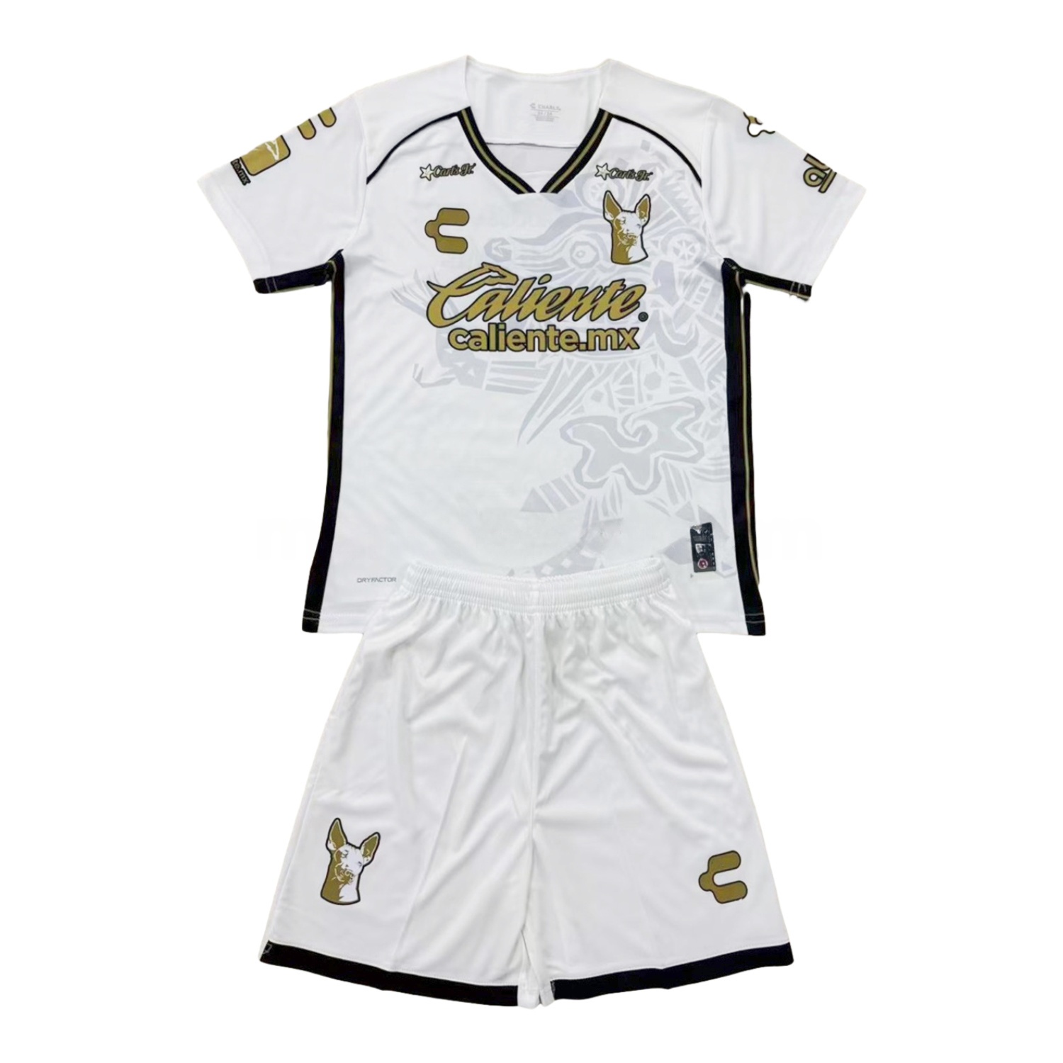 Club Tijuana 24-25 Away Kids Kit - ManixJersey