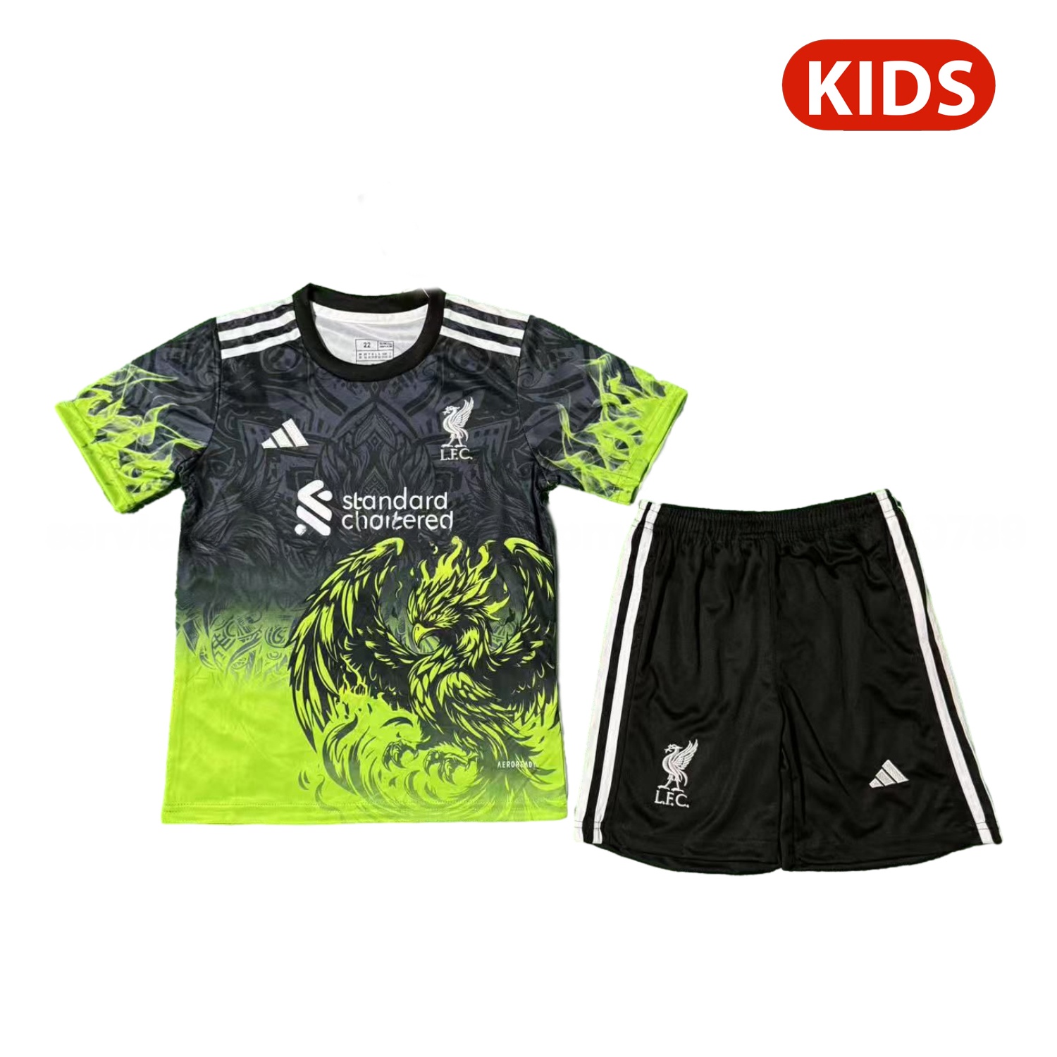Liver.pool 25-26 Green Liver.pool Bird Black Special Kids Kit - ManixJersey