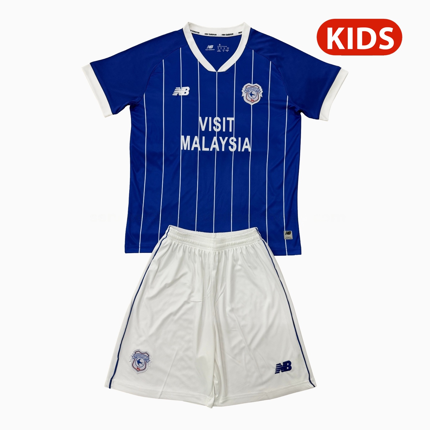 Cardiff City 25-26 Home Kids Kit - ManixJersey