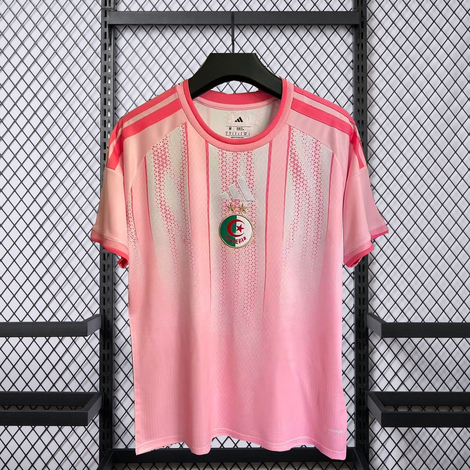Algeria 2026 Training Pink Jersey - Fans Version - ManixJersey